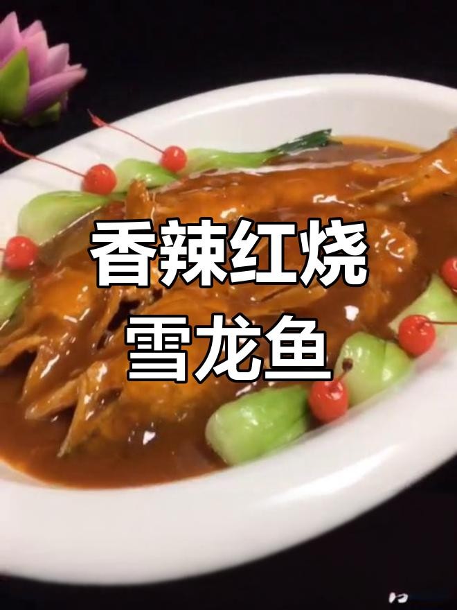 雪龍魚的市場價格為何如此高