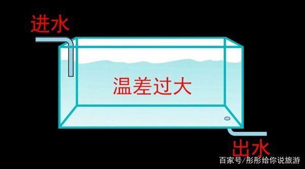 紅龍魚(yú)鱗片發(fā)黑潰爛了：紅龍魚(yú)鱗片發(fā)黑潰爛了怎么辦