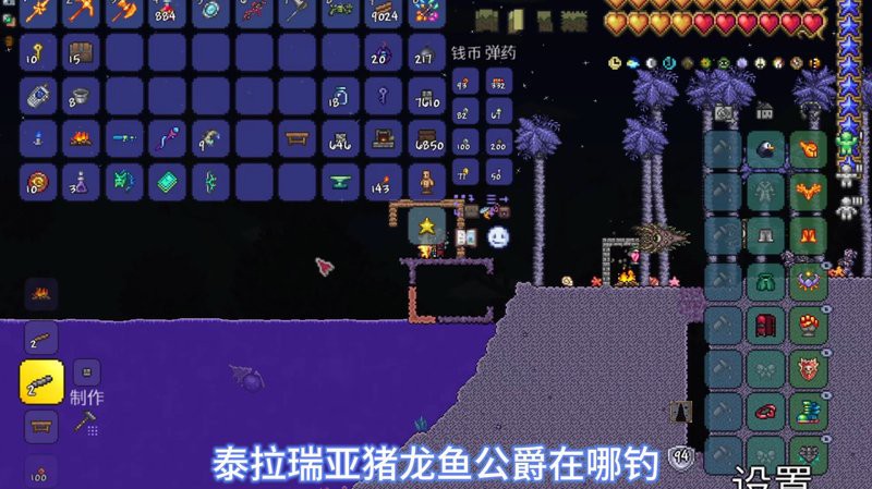 豬龍魚在哪釣