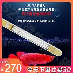 龍魚發色用什么燈比較好一點呢圖片：如何選擇龍魚發色燈