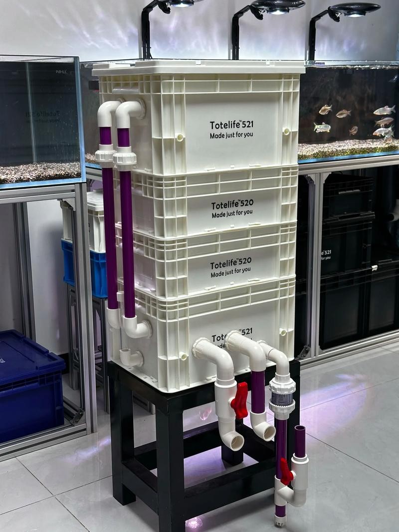 龍魚魚缸制作設計圖紙