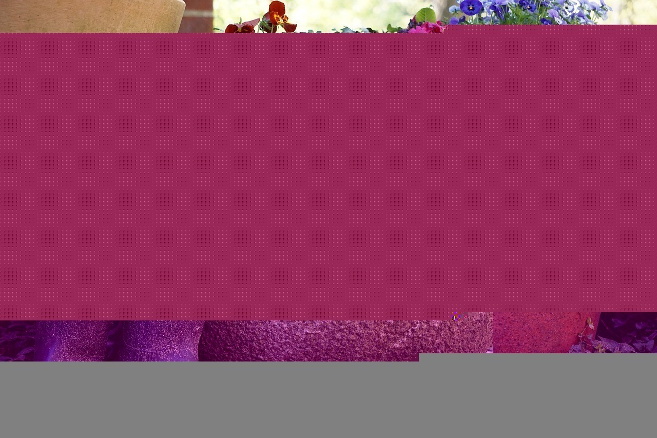 方正縣春滿園花行（方正縣春滿園花行電話）