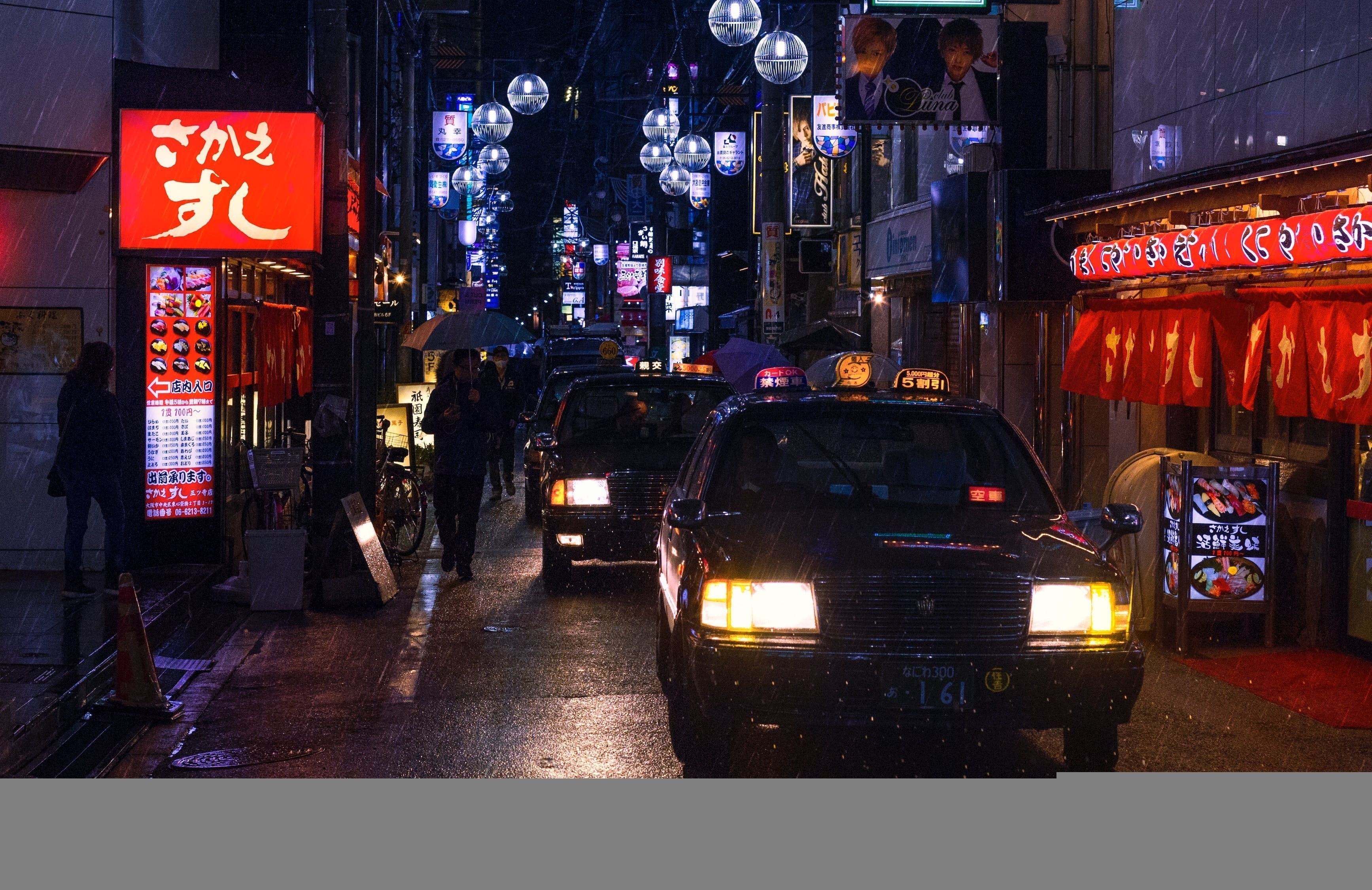 福州市鼓樓區(qū)一缸世界金魚店