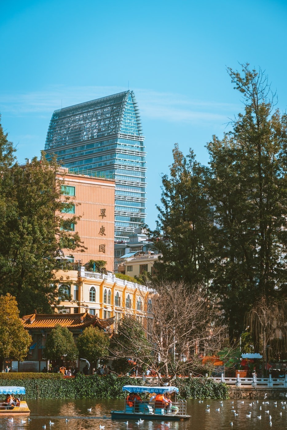 武漢施瑞福生物技術有限公司在生物技術領域的卓越貢獻