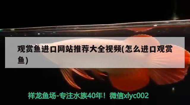 大武口區隆湖四海漁具店