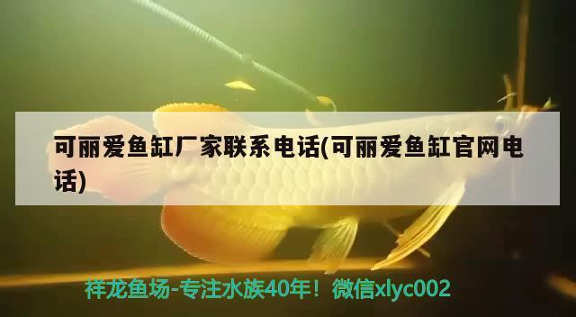 大理市天國水族館（大理市天國水族館地址）