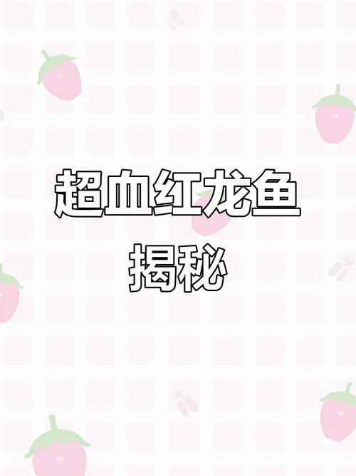 超血紅龍魚的特點及圖片