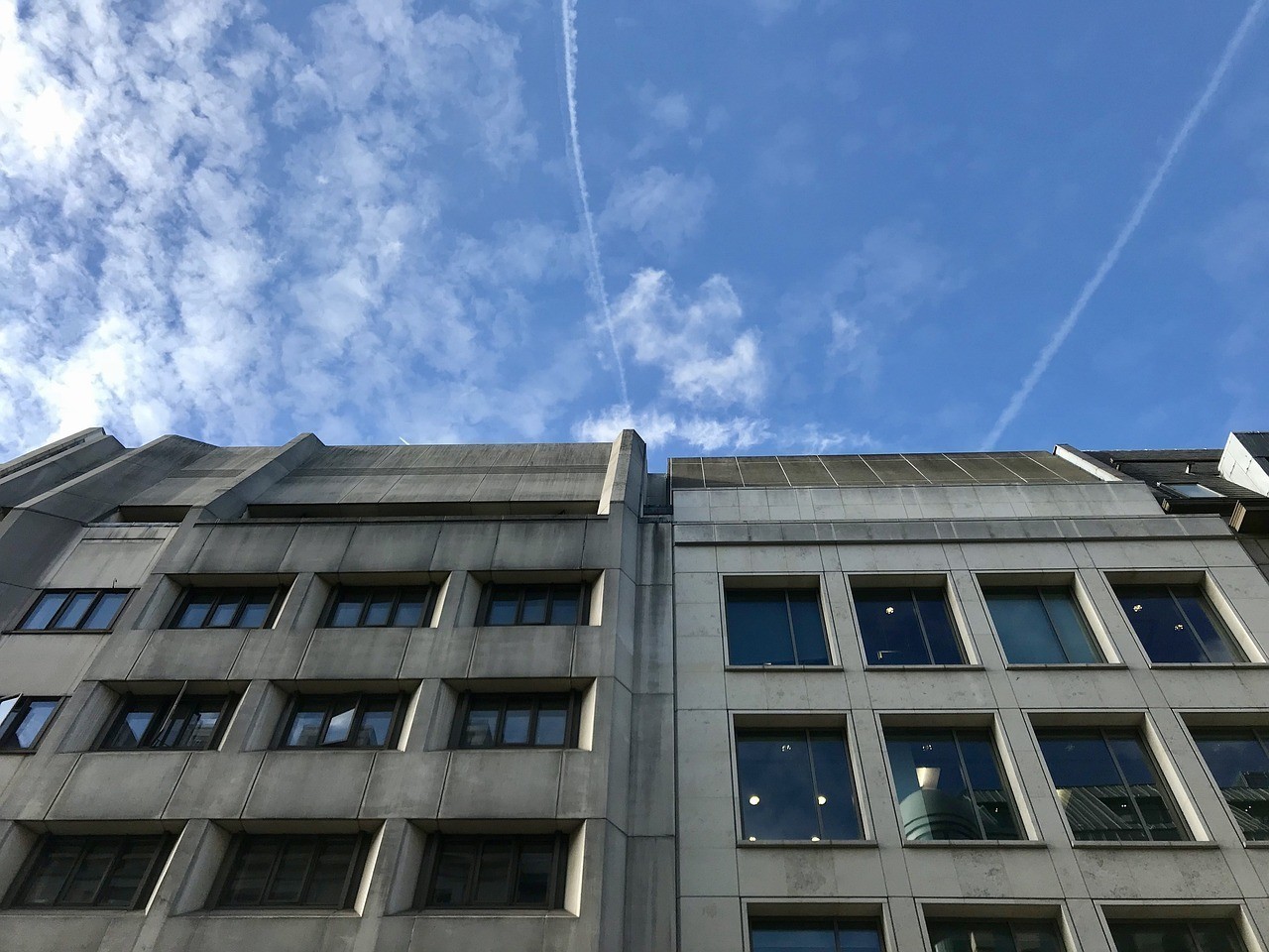 盤(pán)錦市雙臺(tái)子區(qū)成成觀賞魚(yú)養(yǎng)殖經(jīng)銷(xiāo)處（盤(pán)錦養(yǎng)魚(yú)基地）