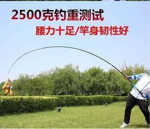 青龍魚桿圖都哪款，青龍魚桿圖的發展趨勢