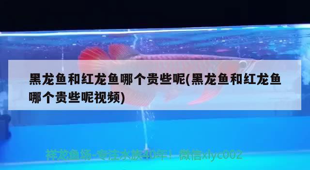 南寧市幾任家具店