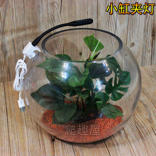 貴港市港北區龍談觀賞魚類器材店（貴港市港北區龍談觀賞魚類器材店地址）