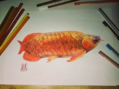 龍魚繪畫，龍魚畫作欣賞與模仿， 龍魚繪畫，龍魚畫作欣賞與模仿， 龍魚百科 第2張