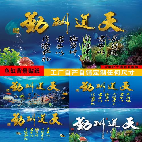 如何選擇適合我的紅龍魚壁紙？