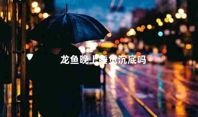 龍魚(yú)晚上睡覺(jué)沉底嗎（龍魚(yú)晚上睡覺(jué)會(huì)沉底嗎？）