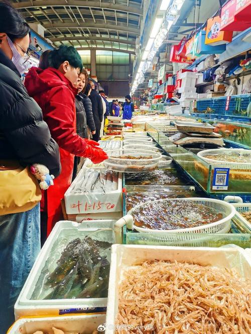 太原龍魚批發在哪里賣的