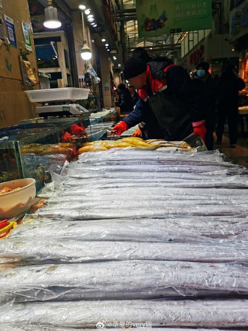 太原龍魚批發在哪里賣的
