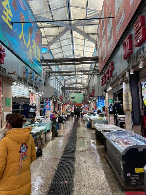 太原龍魚批發在哪里賣的