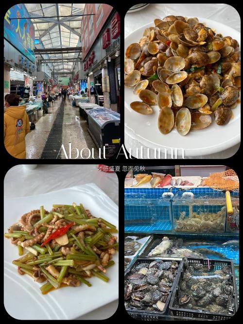 太原龍魚批發在哪里賣的