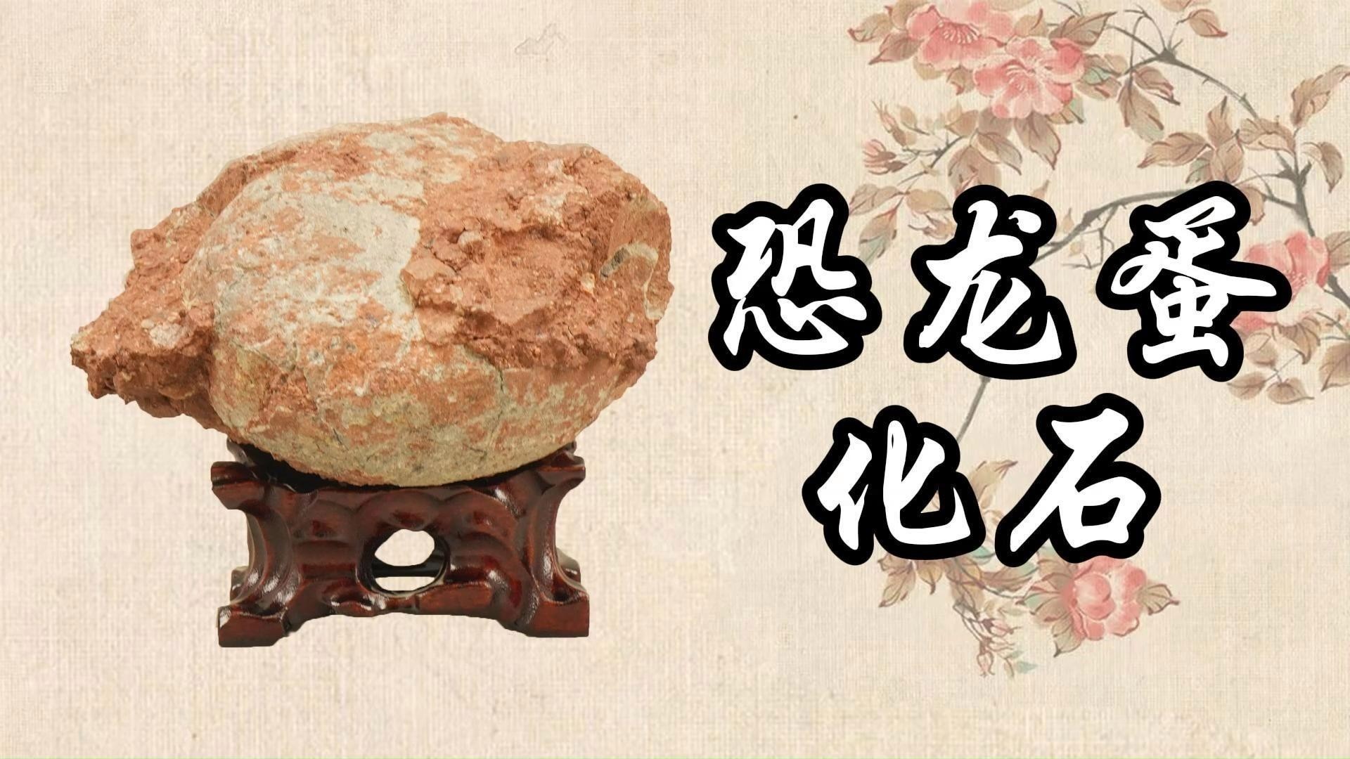龍蛋的紋理有哪些種類？