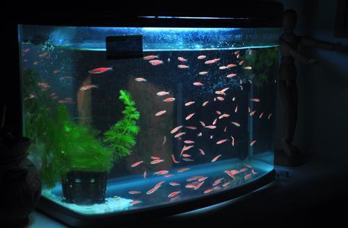 亳州市啟明水族漁具店