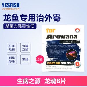 龍魚治療外寄什么藥最好（龍魚治療外寄什么藥）