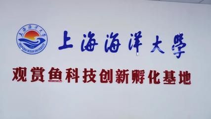 國內紅龍魚繁殖基地有哪些地方，南京青龍社區龍魚品種介紹
