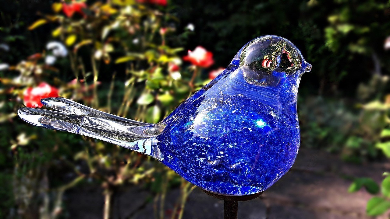 中山市西區花之鳥水族館（中山市西區花之鳥水族館地址）