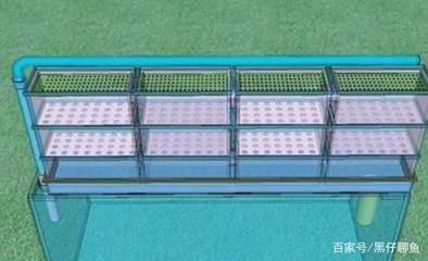 龍魚過濾要用哪些濾材好，養龍魚缸濾材選擇指南：龍魚缸濾材選擇指南