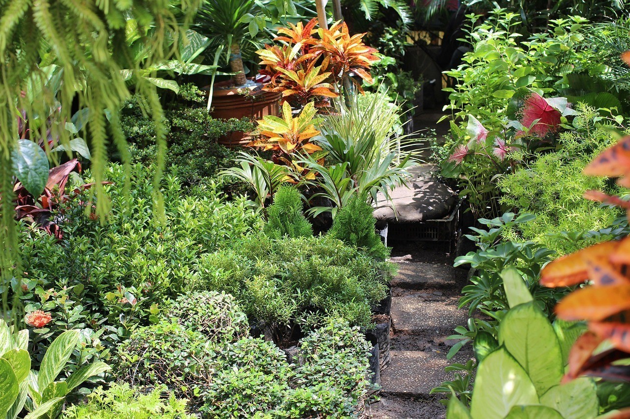沈陽市蘇家屯區文琴花卉種植園（沈陽市蘇家屯區文琴花卉種植園地址）