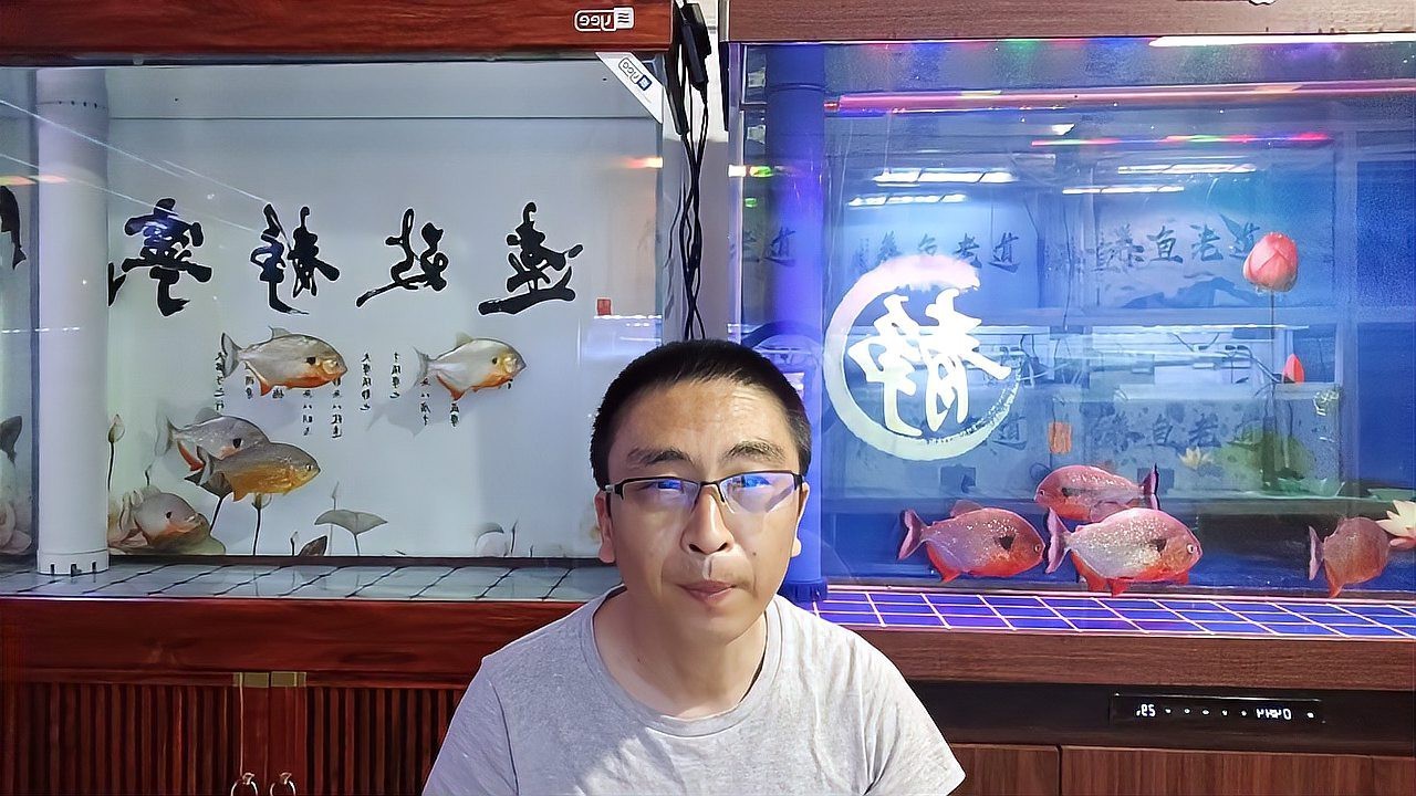 如何判斷黑龍睛是否健康？