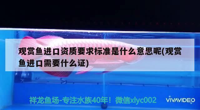 廣州市荔灣區富麗水族市場芳芳水族店 廣州市荔灣區富麗水族市場芳芳水族店 全國水族館企業名錄 第2張