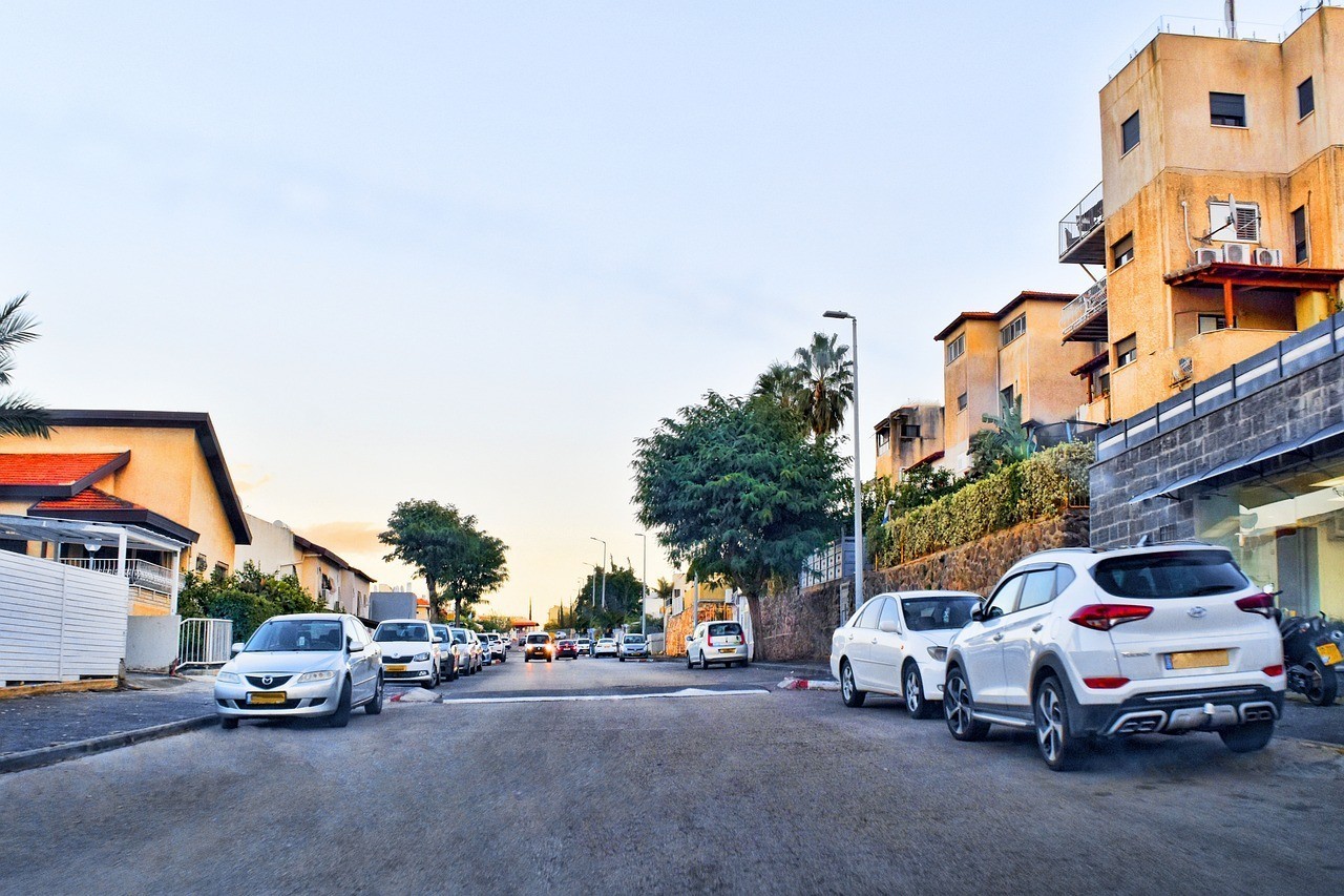 南陽(yáng)市宛城區(qū)鴻發(fā)園林水族店