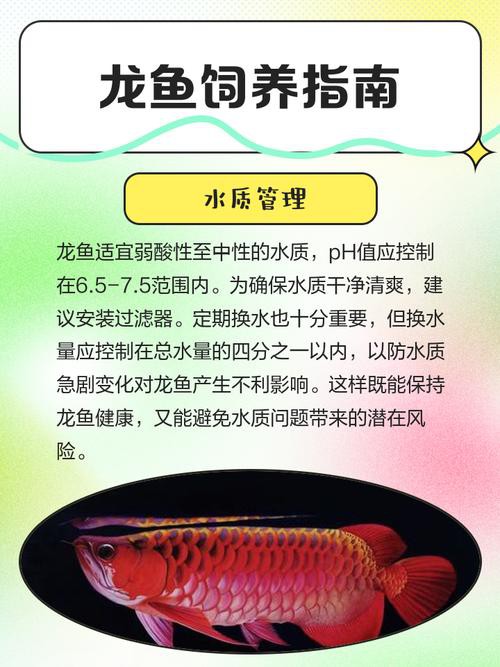 海南養龍魚需要加溫不加濕嗎