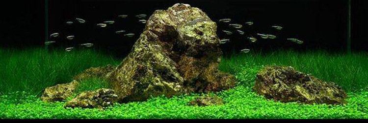 新鄉(xiāng)市海景坊商貿(mào)有限公司（新鄉(xiāng)市海景坊商貿(mào)有限公司電話）