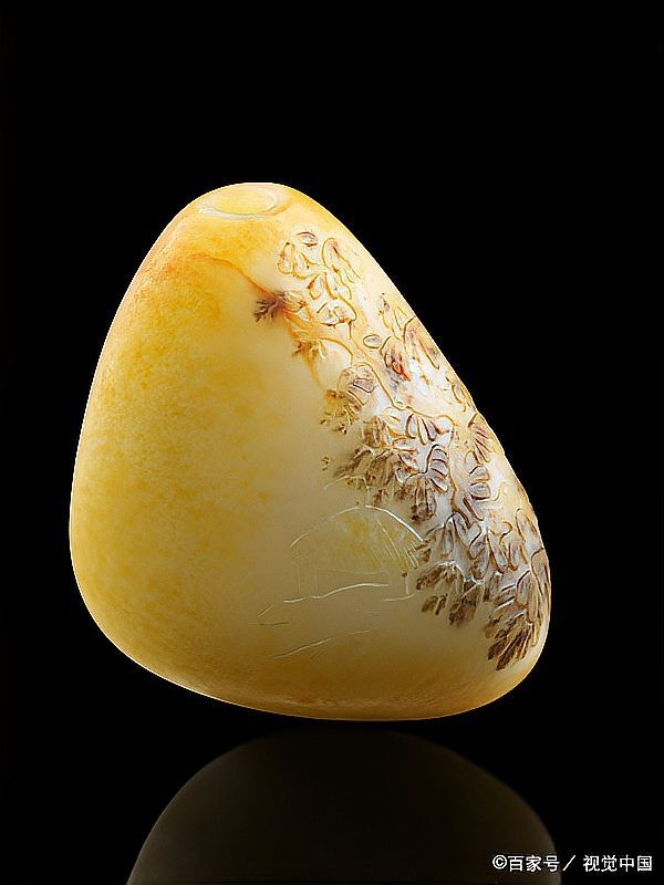 黃龍和金龍哪個更稀有？ 黃龍和金龍哪個更稀有？ 龍魚百科 第5張