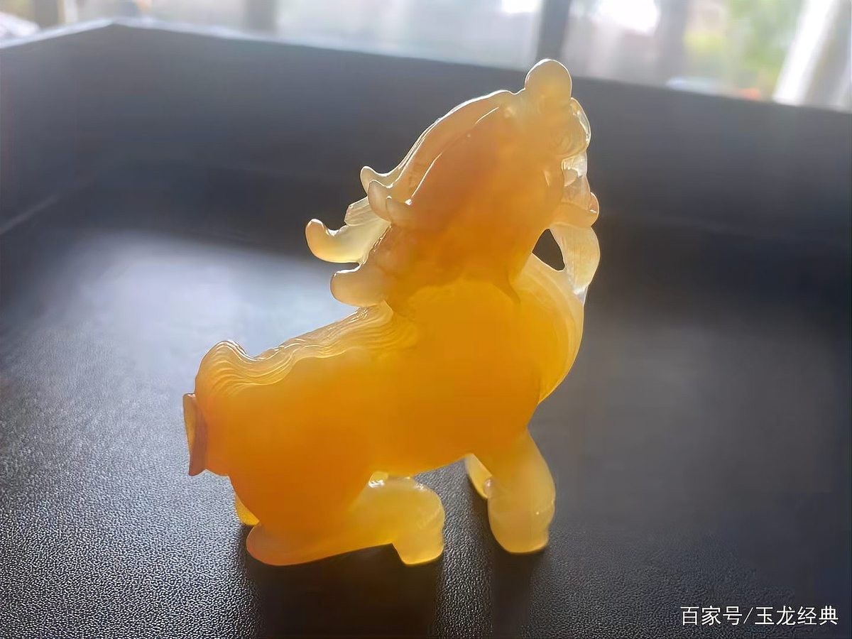 黃龍和金龍哪個更稀有？ 黃龍和金龍哪個更稀有？ 龍魚百科 第6張