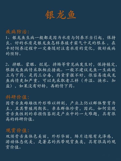 銀龍魚的養殖方法和注意事項圖片大全大圖
