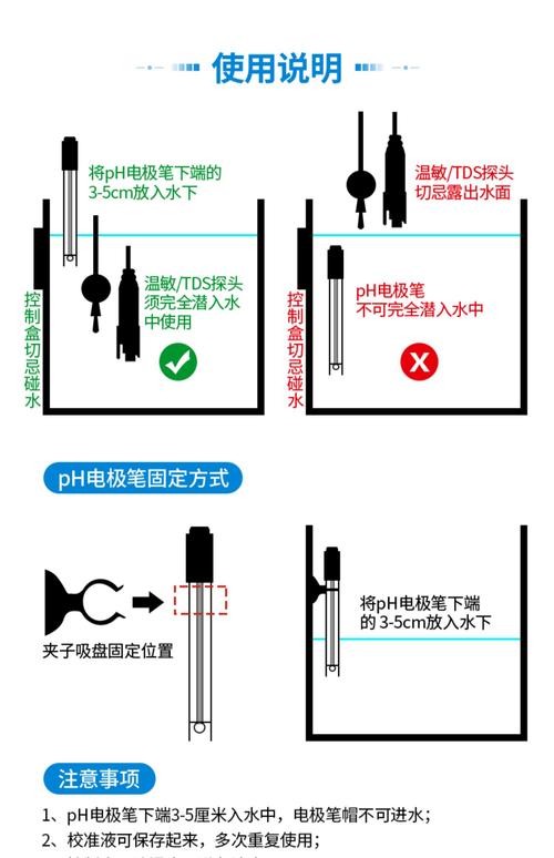銀龍魚的養殖方法和注意事項圖片大全大圖