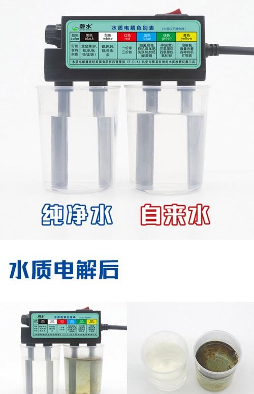 銀龍魚的養殖方法和注意事項圖片大全大圖