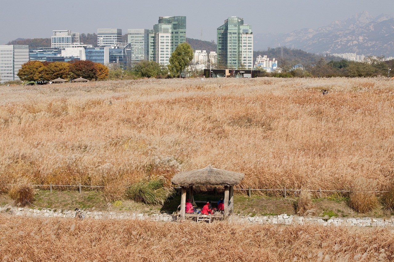 浙草地園林市政建設發展有限公司寧海分公司（浙江草地）