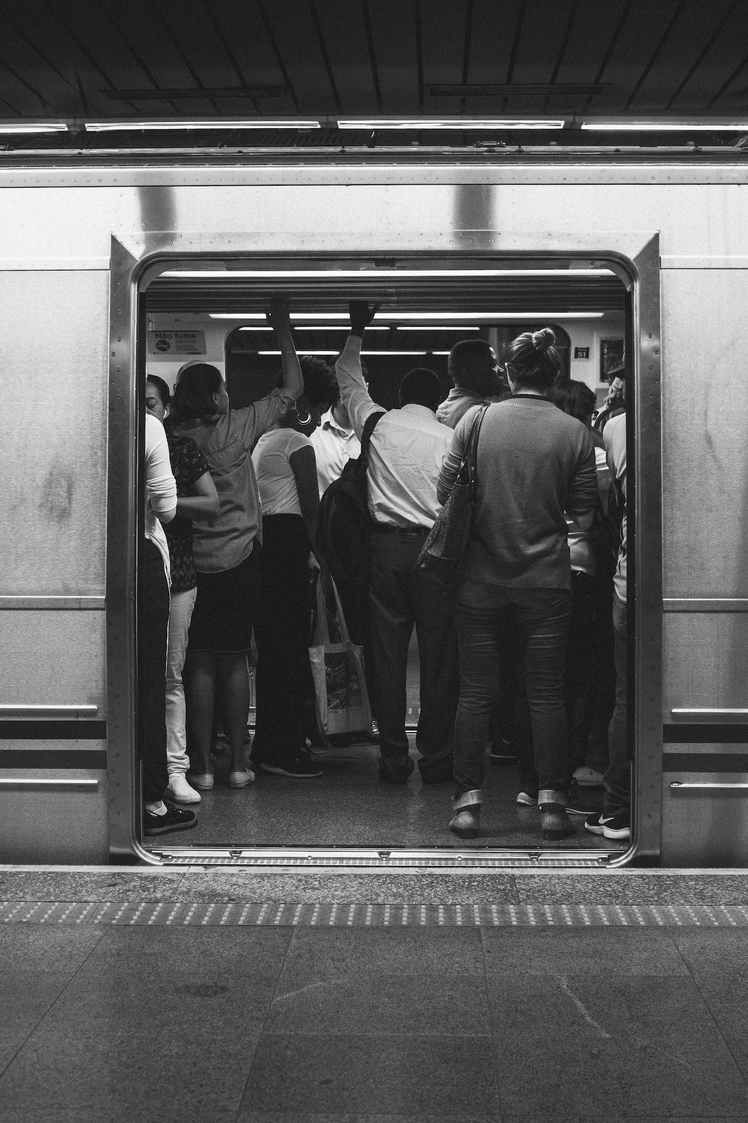 廣州市荔灣區茶滘魚文化水族店