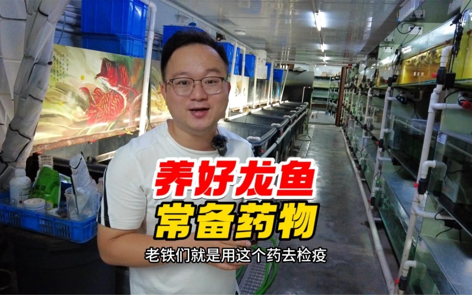 紅龍魚幼崽如何預防疾病？