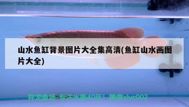 杭州蕭山浦陽鎮汪鳳娟錦鯉養殖場（杭州蕭山浦陽鎮汪鳳娟錦鯉養殖場電話）