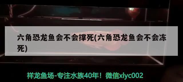 大連經濟技術開發區世源魚具用品店 大連經濟技術開發區世源魚具用品店 全國水族館企業名錄 第2張