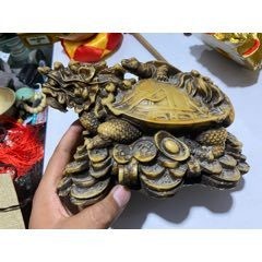 龍頭龜?shù)氖袌鰞r(jià)格是多少？