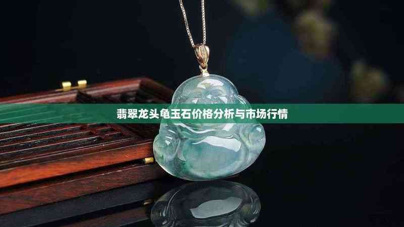 龍頭龜?shù)氖袌鰞r(jià)格是多少？