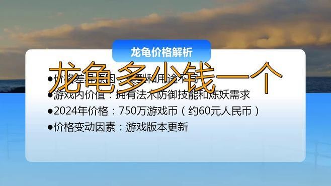龍頭龜?shù)氖袌鰞r(jià)格是多少？