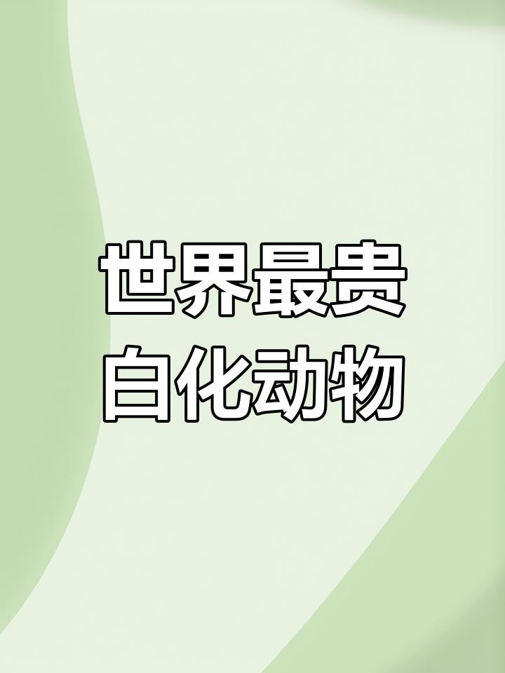 白金龍魚有哪些品種？