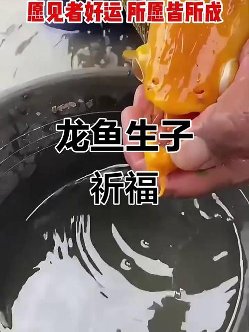 黃金龍魚圖片高清壁紙