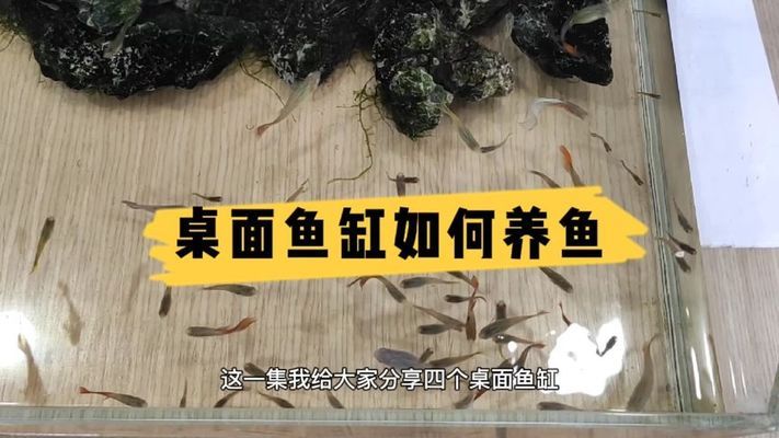 章丘市雙山藍寶水族館（章丘市雙山藍寶水族館電話）